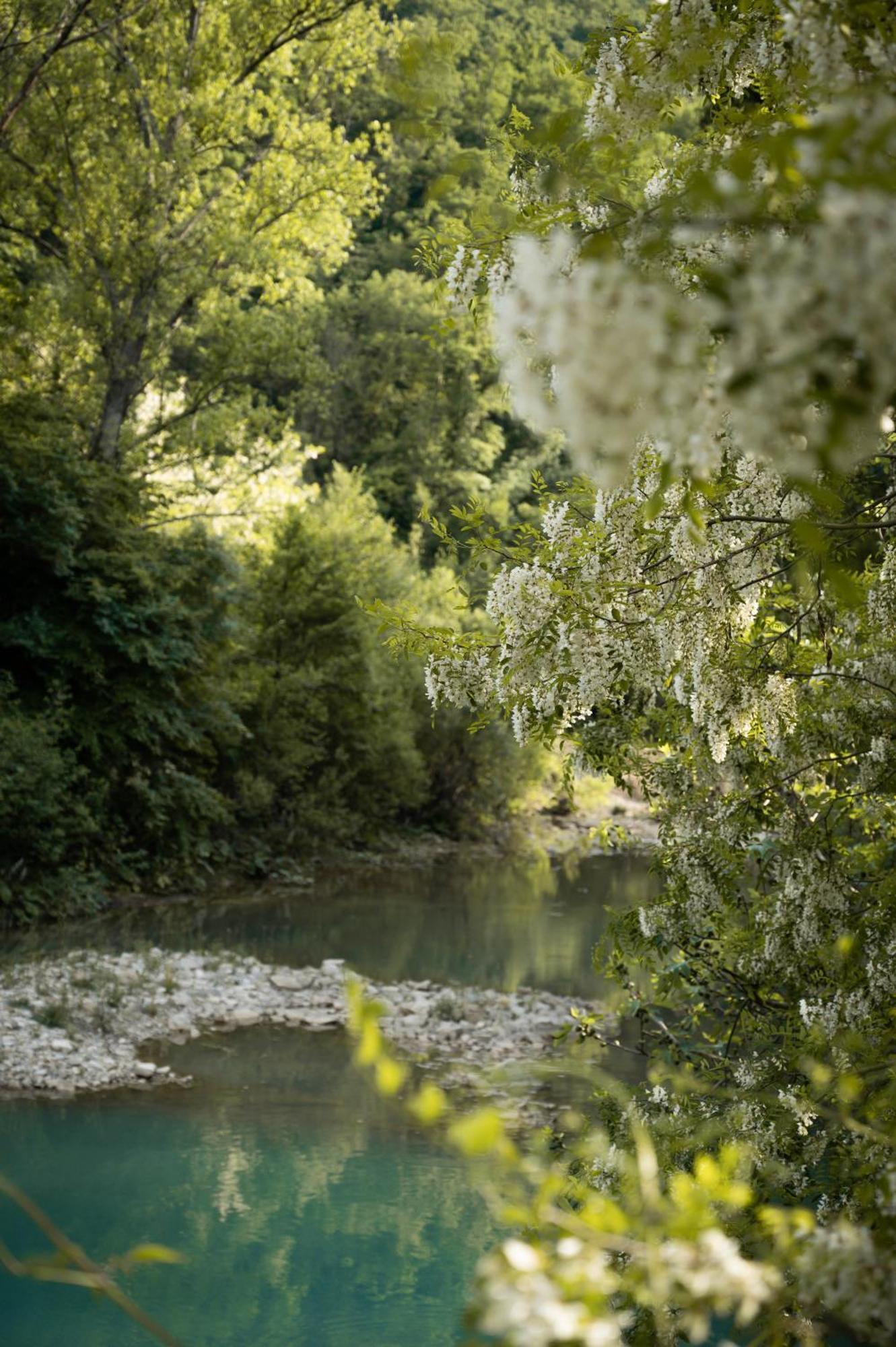 Glamping Dragonja River Smarje  Luaran gambar
